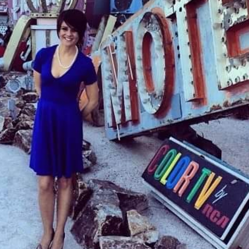 V Neck Skater Dress